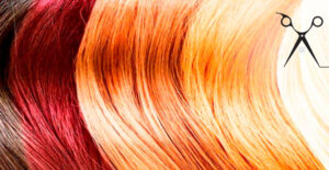 Read more about the article Lo que Necesitas saber sobre Colorimetría Capilar